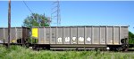 FPPX 52260